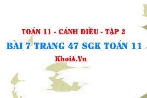 Bài 7 trang 47 Toán 11 tập 2 Cánh Diều